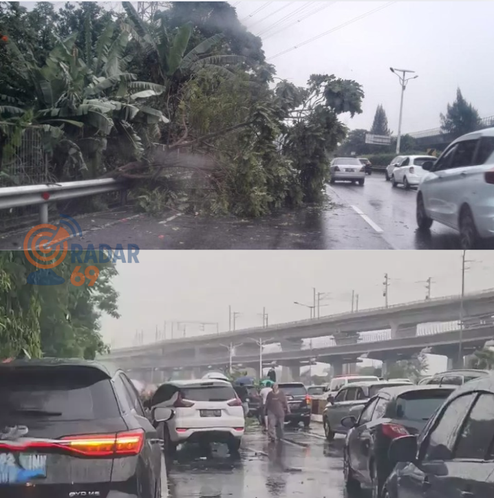pohon tumbang di tol halim